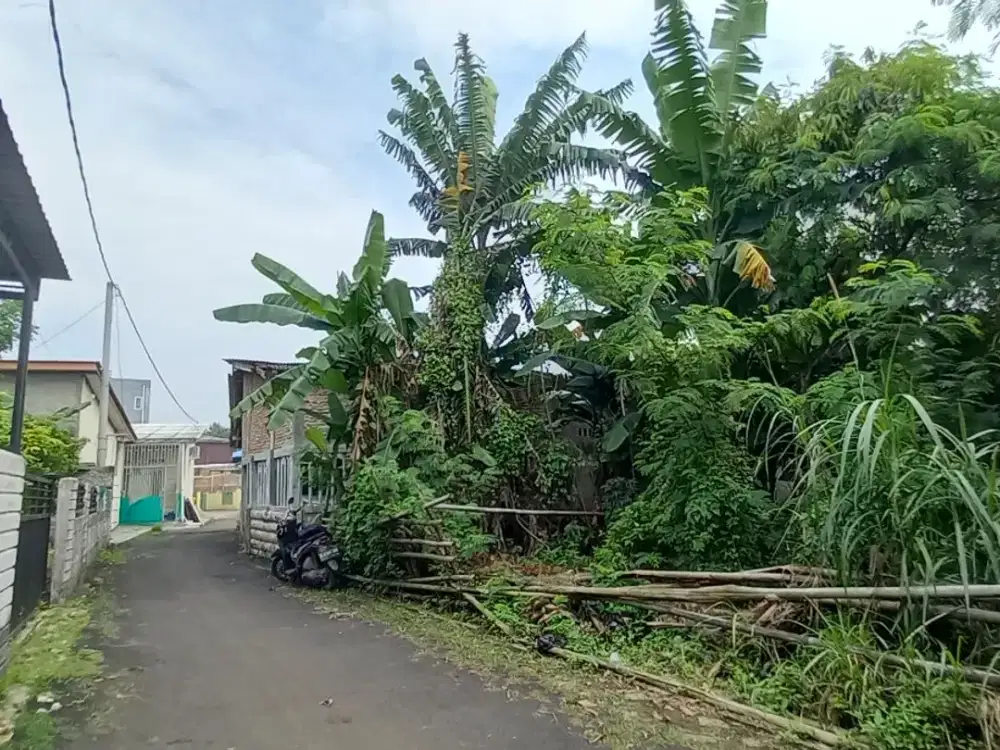 Tanah Murah Rajeg 300Jt - Luas 400 Meter