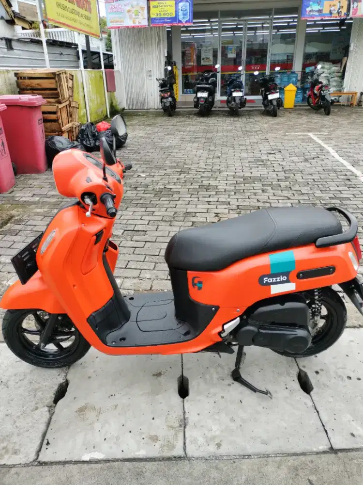 Fazzio Orange hybrid 2023