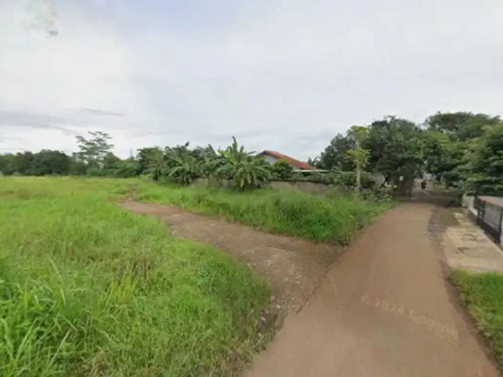 Tanah Murah Tajurhalang Dekat Jalan Bomang (Bojonggede-Kemang)