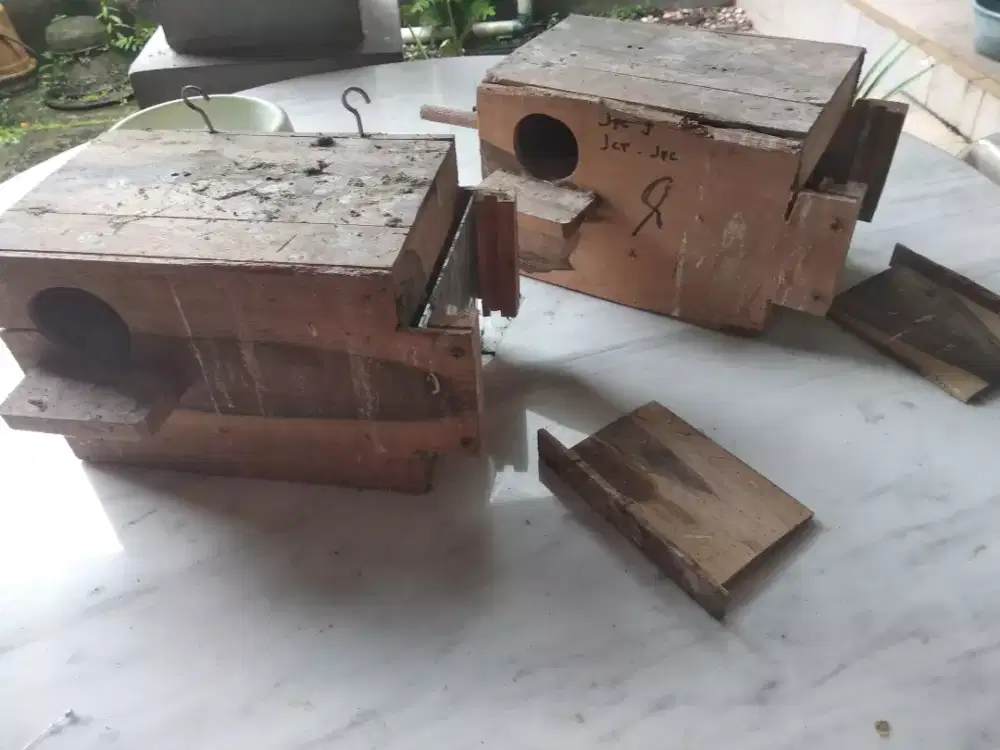 Glodok Burung kaca samping