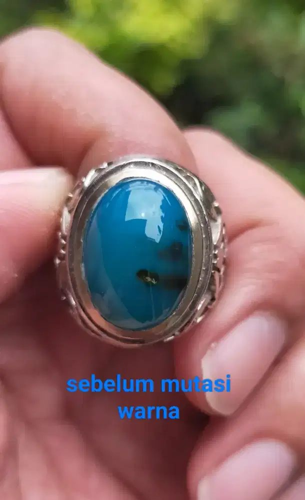 Bacan doko proses mutasi
