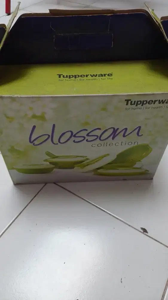 Tupperware blossom collection