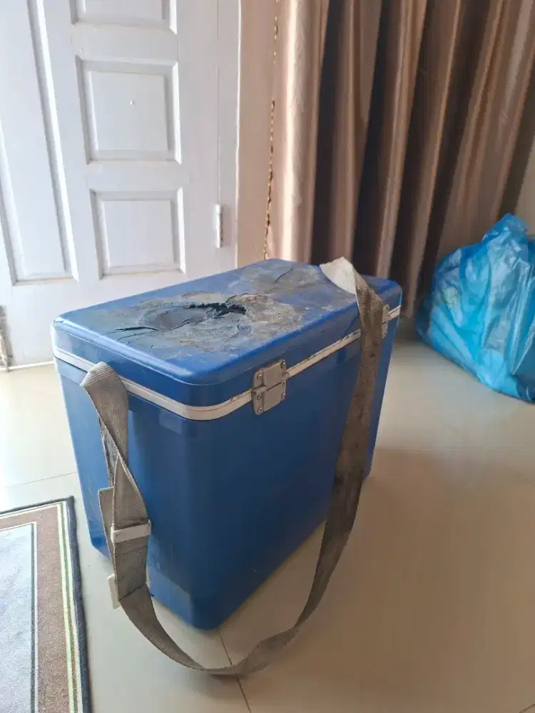 JUAL LIONSTAR MARINA COOLER BOX 24s 22 ltr ( second)