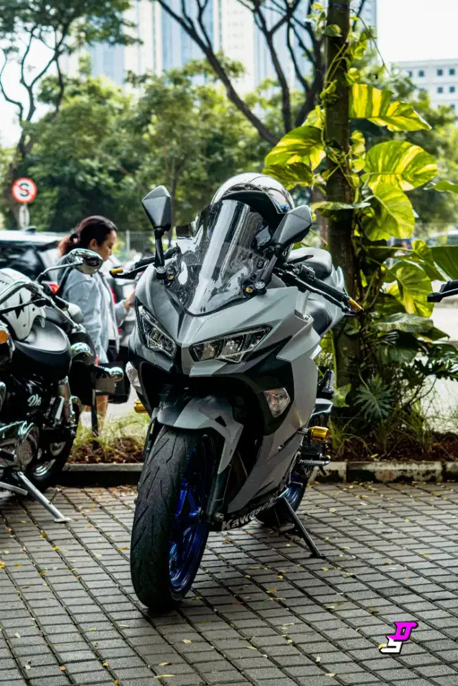 Kawasaki Ninja 250 All New