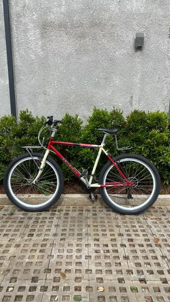 Sepeda Federal Commuter Bike