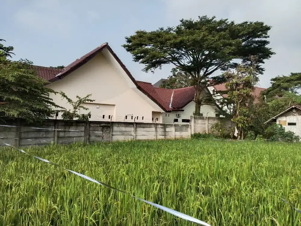 DIJUAL SAWAH – LOKASI BERKEMBANG (SAMPING KANTOR DPRD CIANJUR)