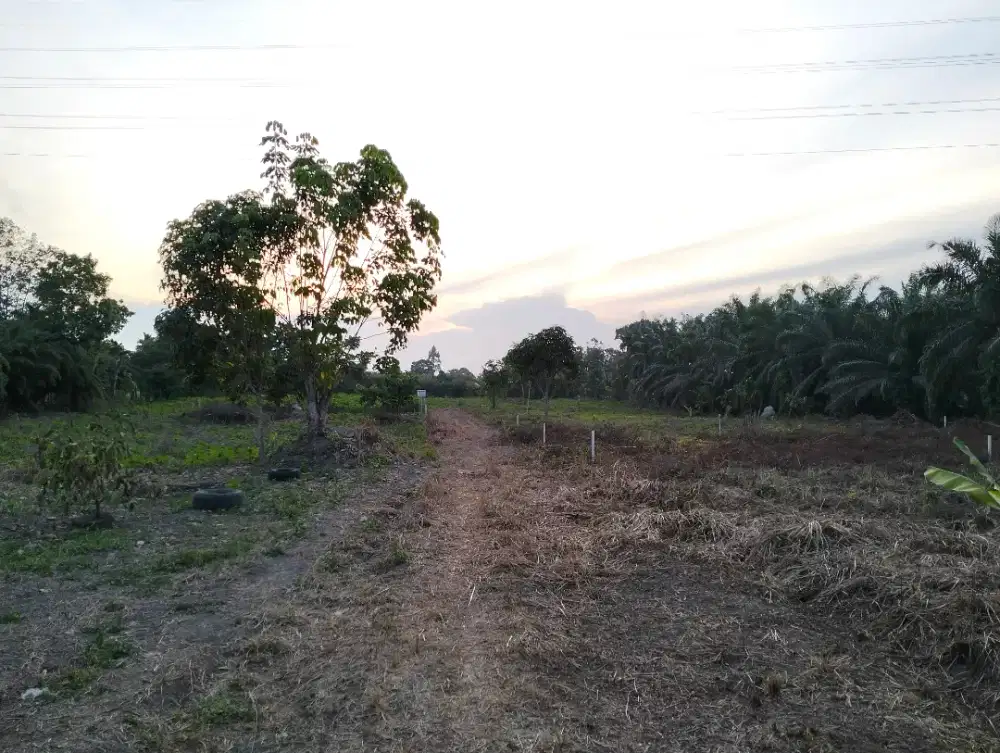 Dijual Tanah kavling 20x25