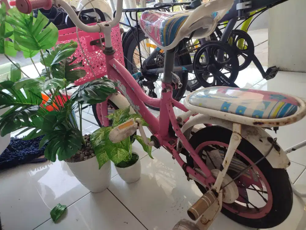 Dijual cepat apa adanya sepeda anak perempuan umur 3-5 th