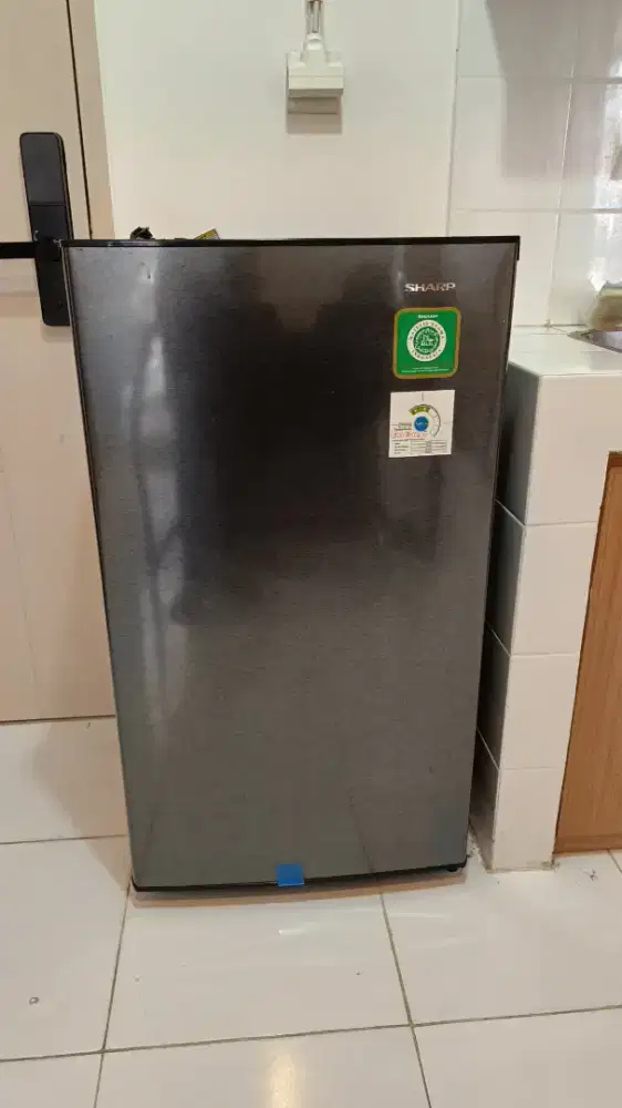 Sharp Kulkas 1 Pintu 166L SJ-N182N-HS