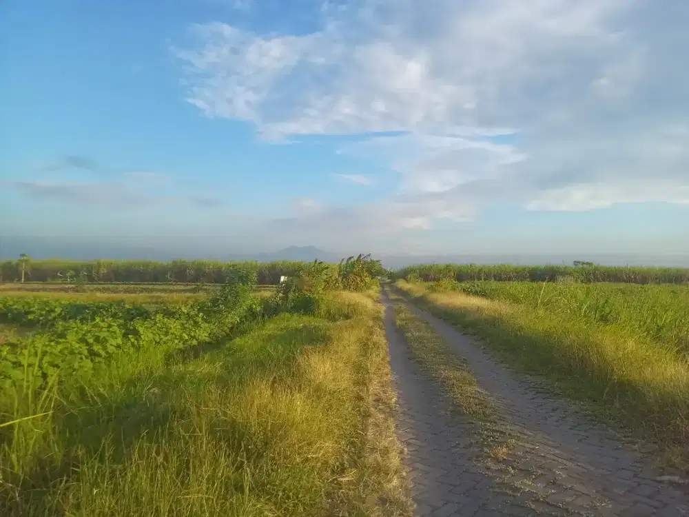 Sedot saluran pipa wc mampet