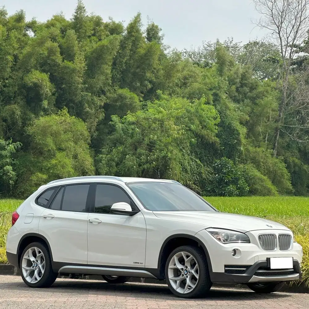 [ORIGINAL CAT DAN FULL SERVICE RECORD] BMW X1 sDrive 1.8i 2013