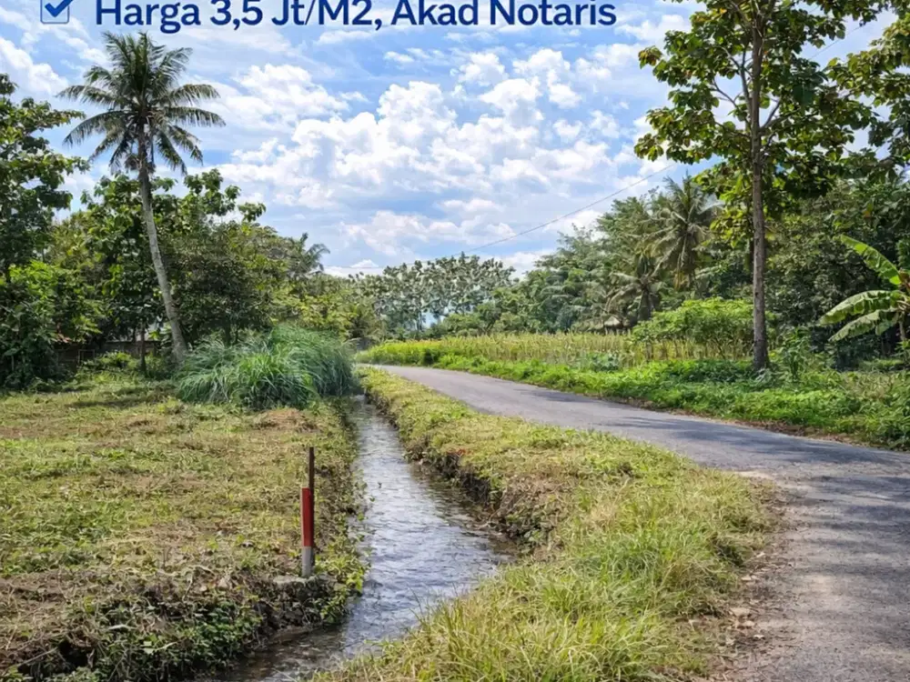 Tanah Jogja 2 MENIT SD BIAS KALIURANG SHMP