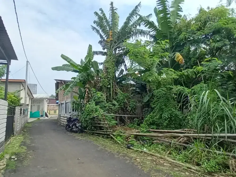 Tanah Murah Rajeg 700Rban/m - 5 Menit Batavia