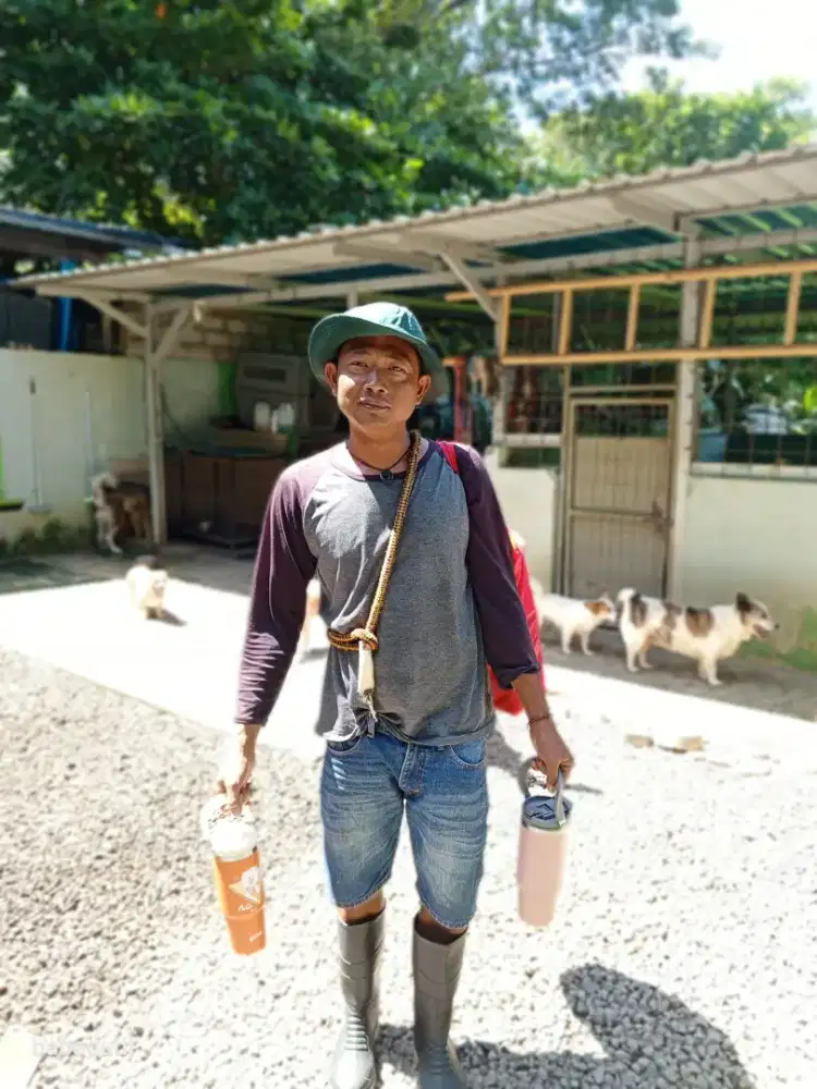 Lowongan untuk anak kandang di penitipan anjing