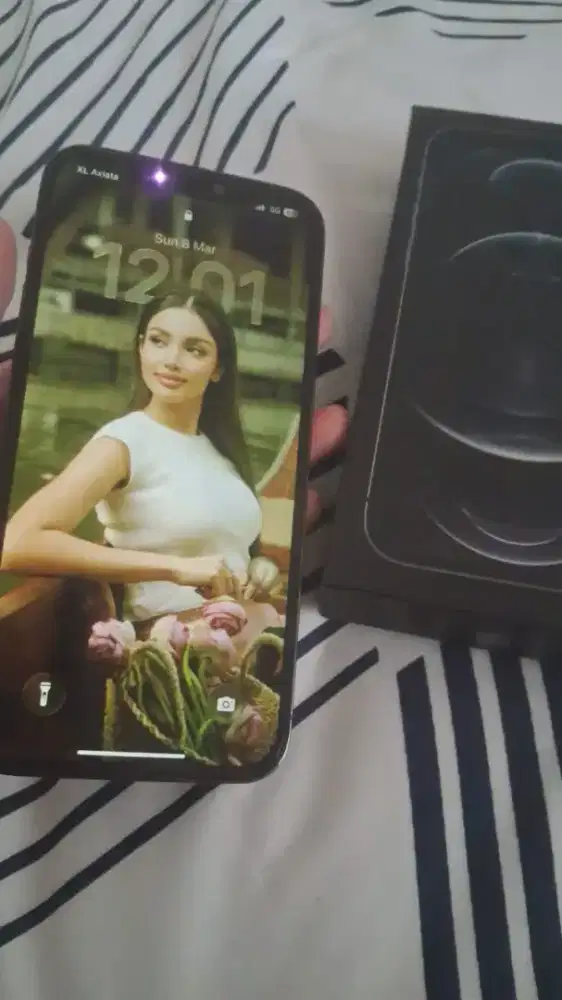 Iphone 12 Pro Max 128 Gb