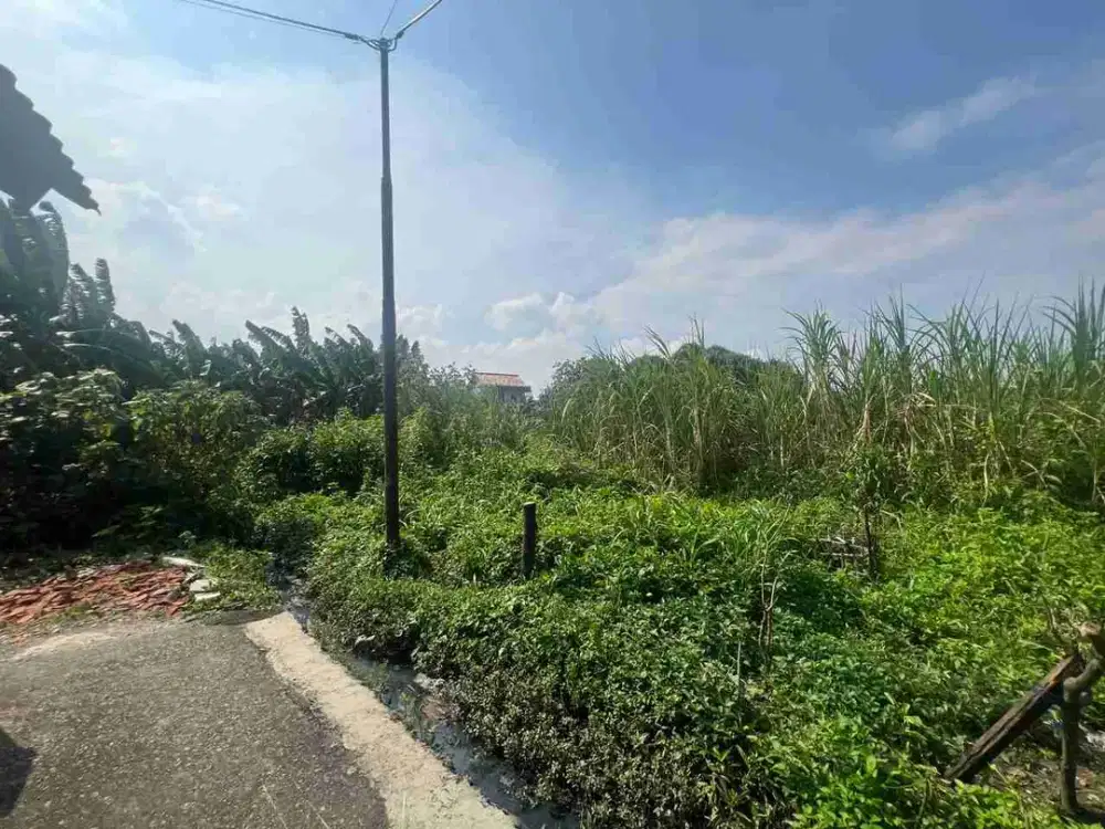 TANHA  1.2 HA COCOK UNTUK CLUSTER DEKAT 4 MAL TOLL TRANSKITA DAN STASIUN KA