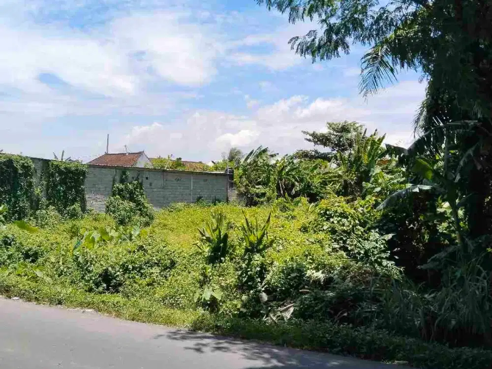 disewakan tanah datar pinggir jln aspal di dekat jantung kota gianyar