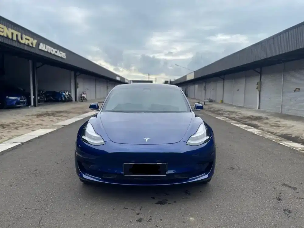 Tesla Model 3 Plus 2021 NIK 2020 Ioniq BYD