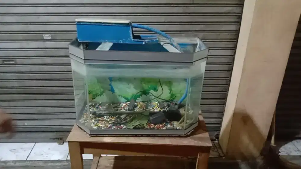 Aquarium ikan satu set