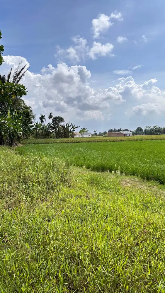 Dijual Tanah SHM - Lokasi Strategis Dekat Bandara Kualanamu