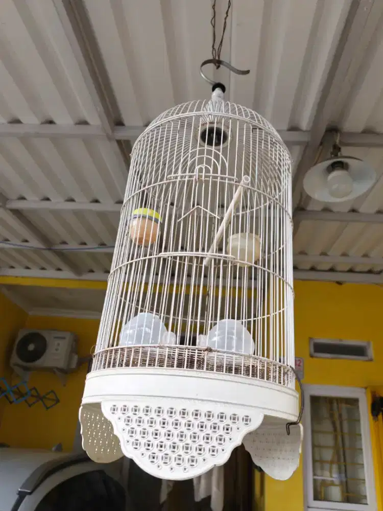 Kandang Burung dua unit