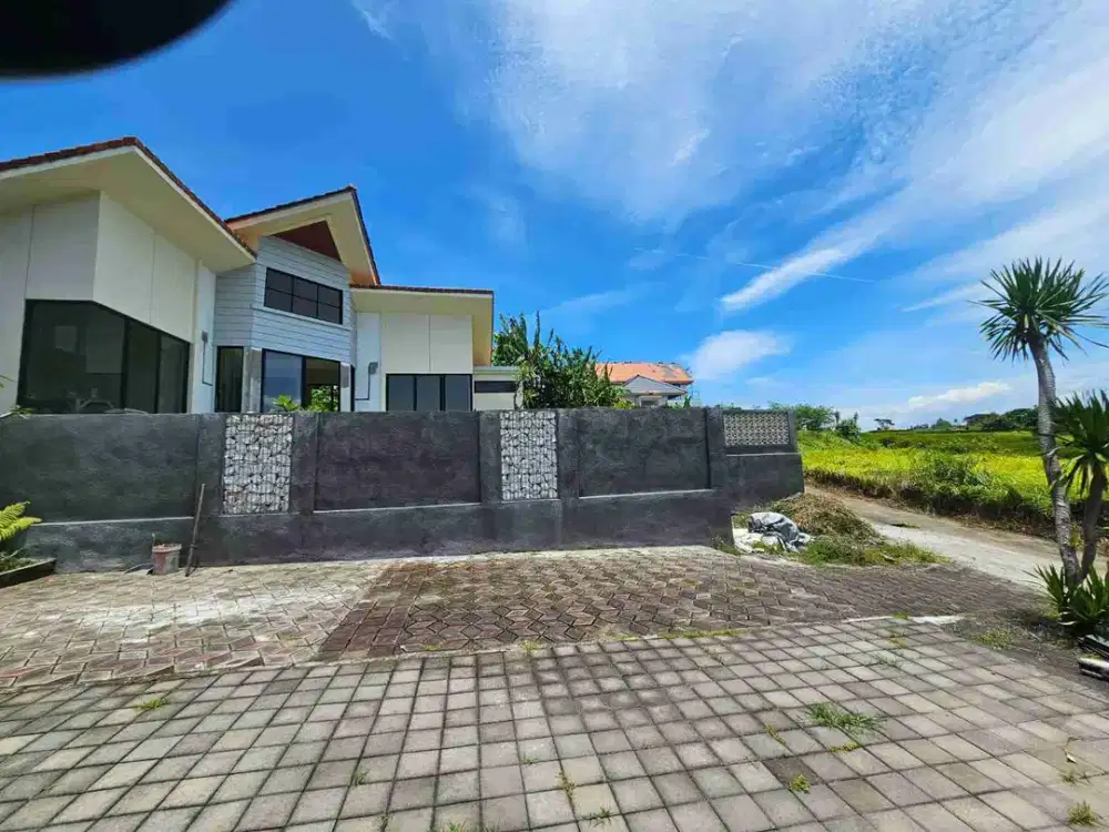 Rumah Minimalis Halaman Luas. area Gianyar