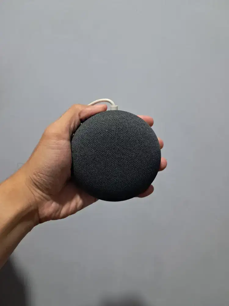 Google Nest Mini