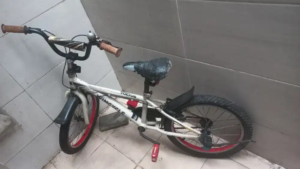 Sepeda anak wim cycle