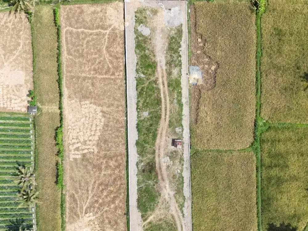 Kavling Pandanaran 7 menit Kampus UII Yogyakarta, Cocok Untuk Kost & Hunian