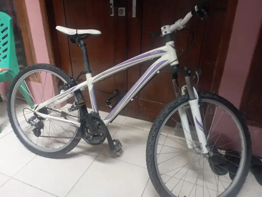 Sepeda MTB Polygon Cleo Allmunium