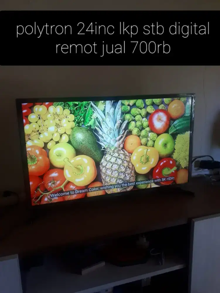 Polytron 24inc analog