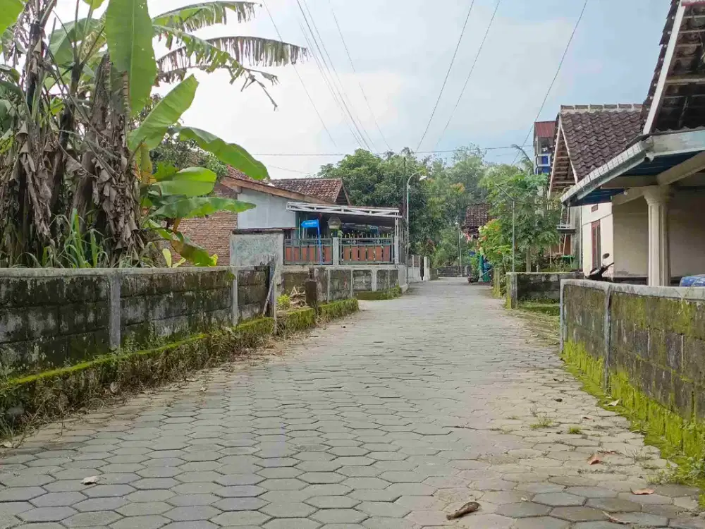 tanah sleman pendowoharjo