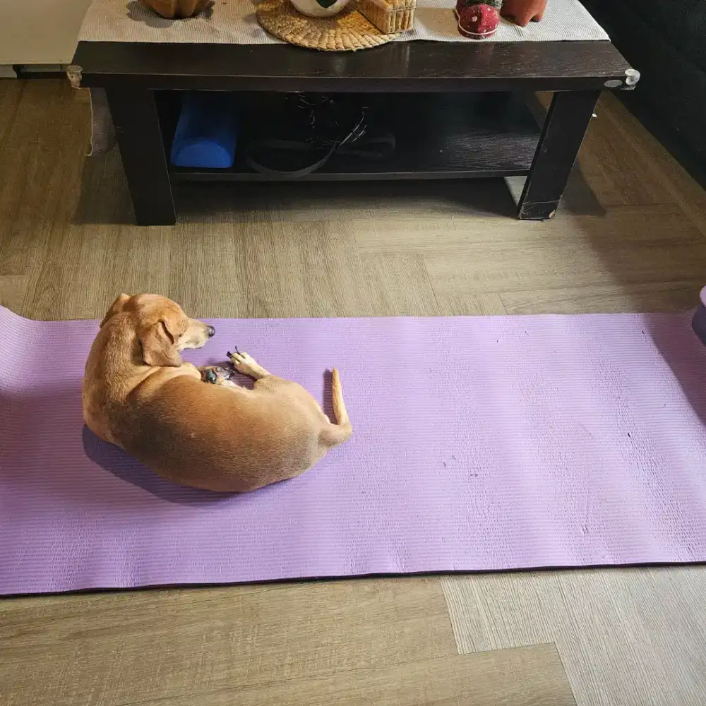 Matras Yoga Bahan Tebal