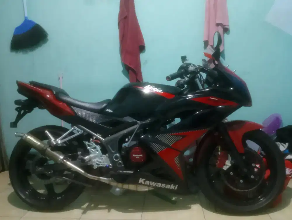 Kawasaki ninja rr new 2014