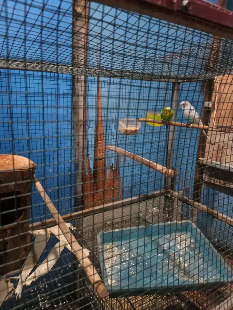 Parkit sepasang bt/tt