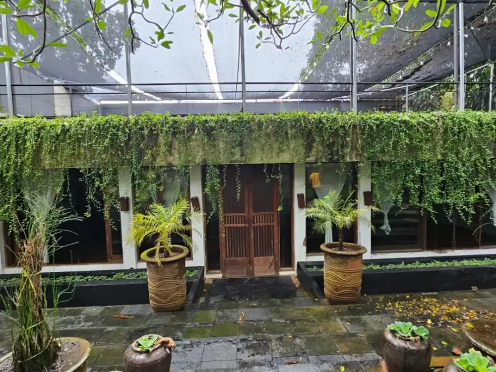 Dijual Murah Dibawah Njop 2026 Rumah Tua Hitung Tanah Jl. Kemang Timur Raya