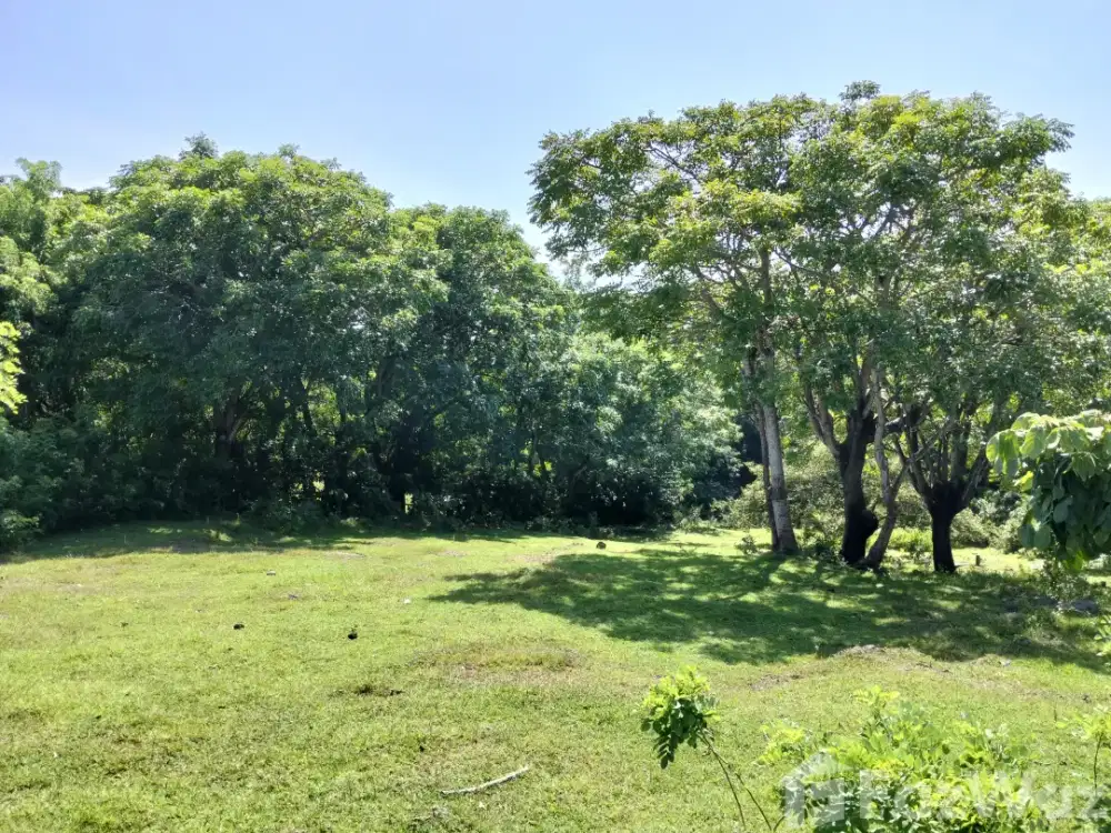 Land for sale in Pandawa, Bali