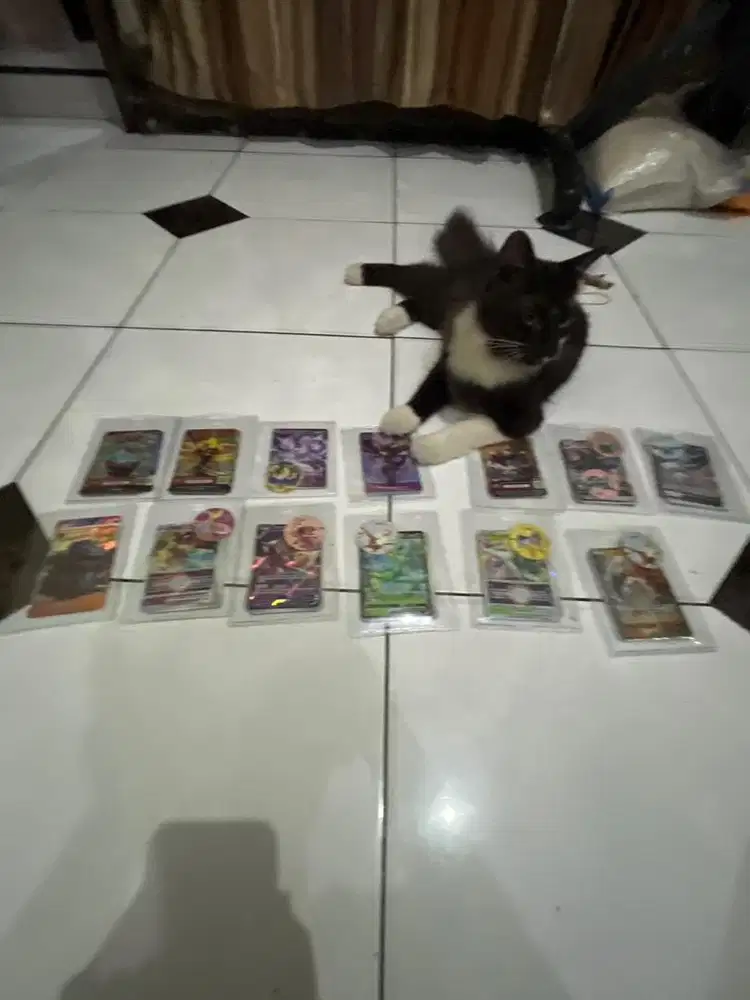 Kartu pokemon dan boboboiy