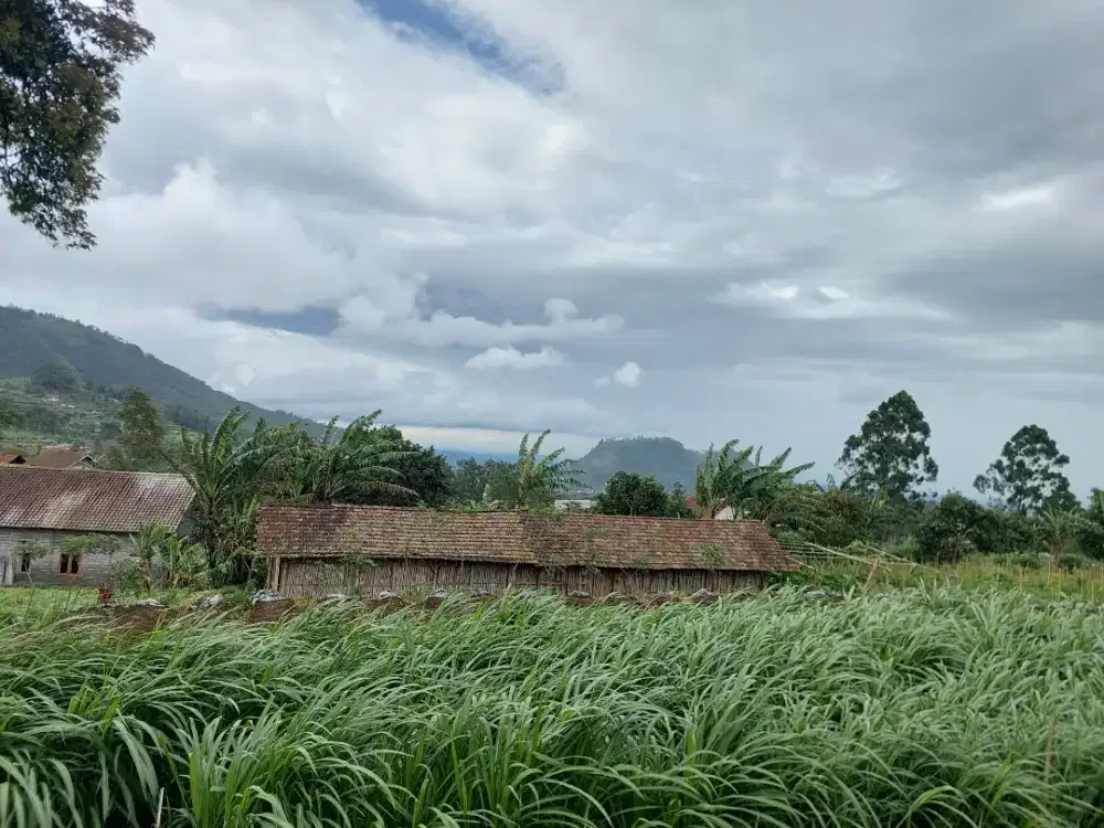 Jual tanah murah di sekitar kopeng