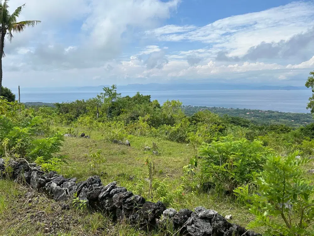 Dijual tanah view gunung agung