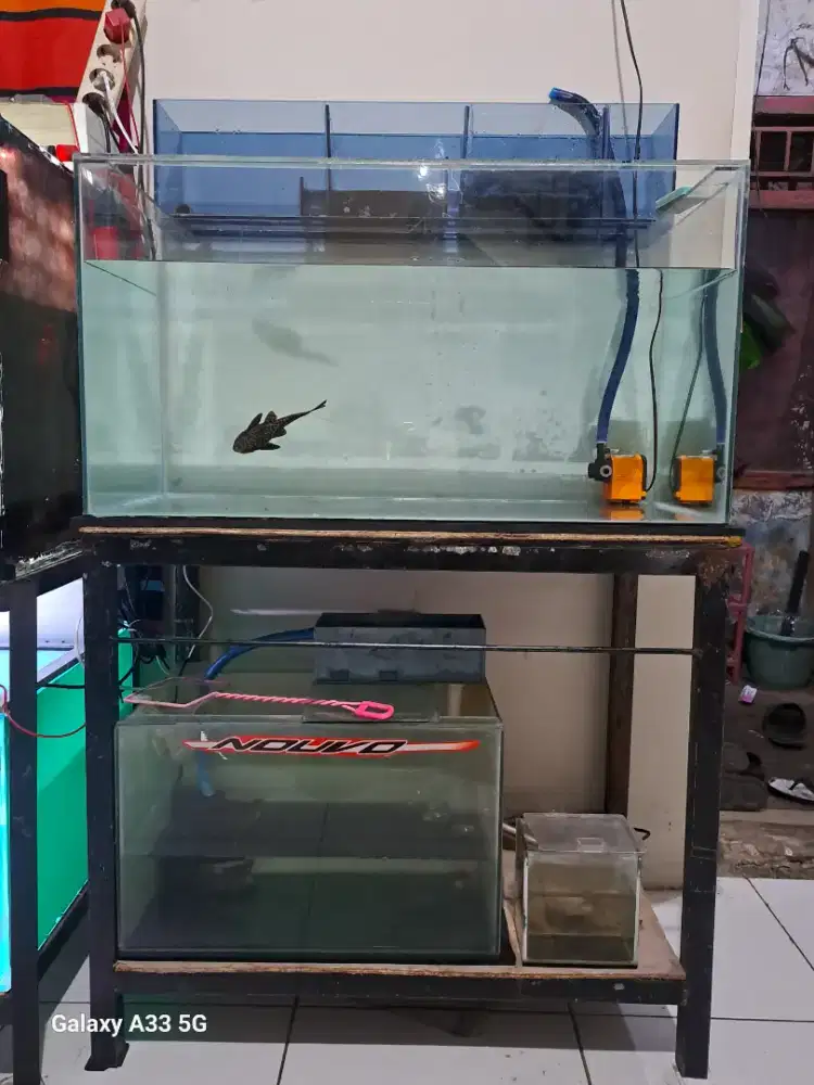 Aquarium ikan hias
