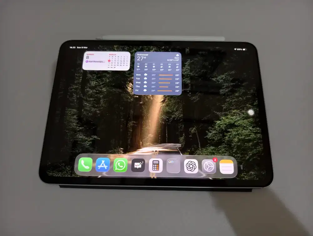 DIJUAL IPAD PRO M5 (BARU) Wifi + Cellular