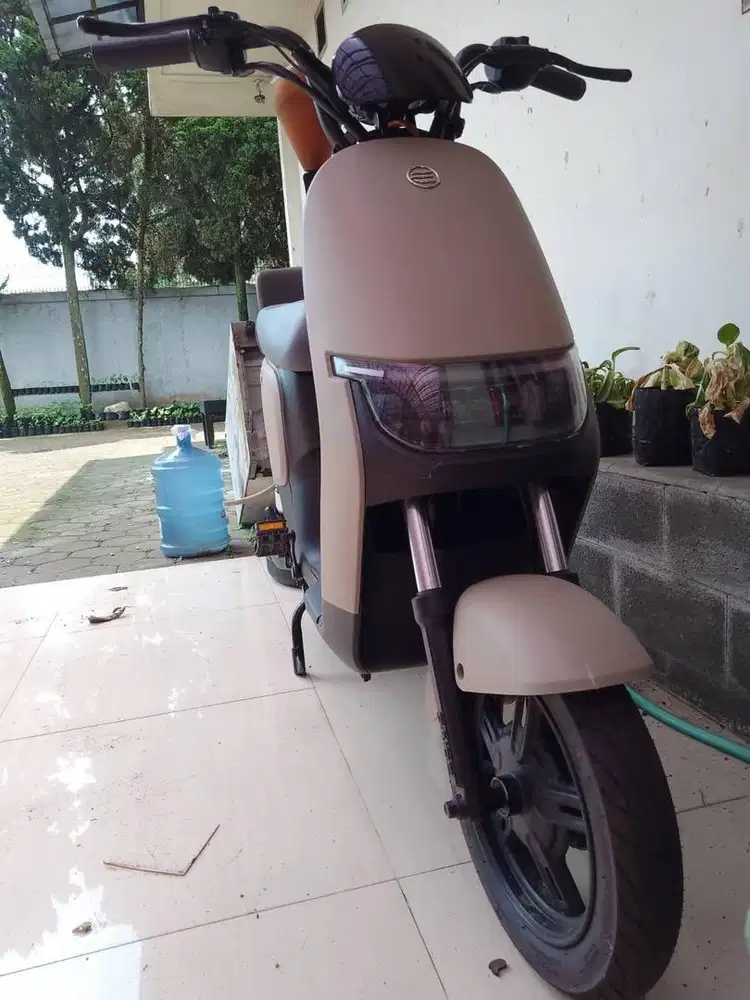 di jual cepat bisa negp tipis