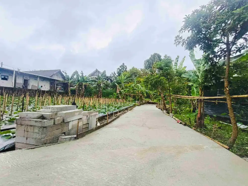 Tanah Murah tawangmangu 750jt Turun 650jt
