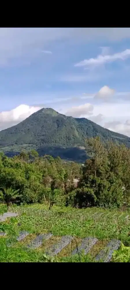 Tanah kebun view bagus