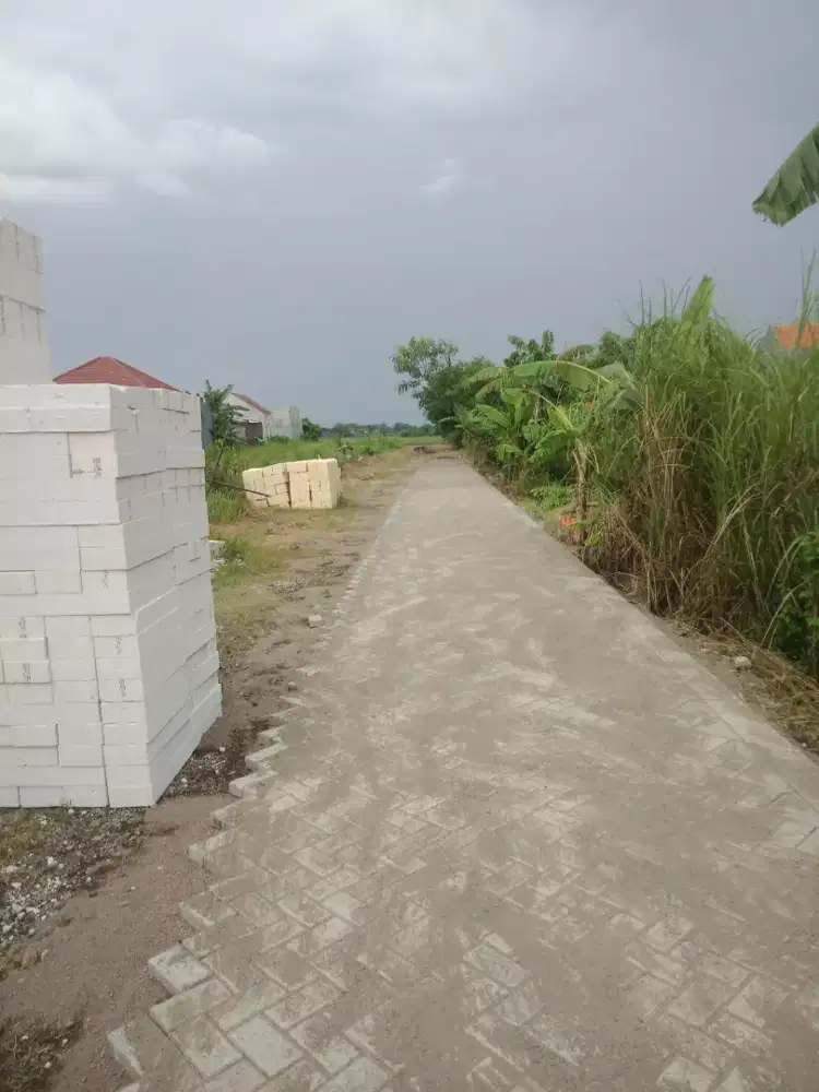 Pasang paving  ahli nya pasang siap bantu