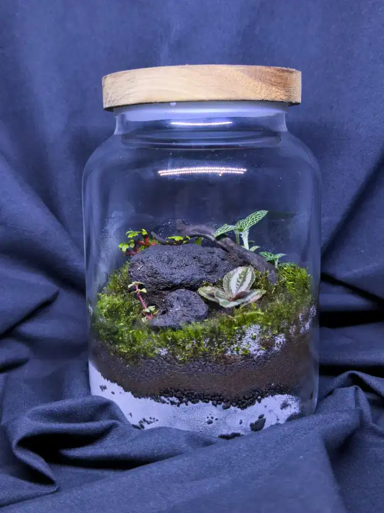 Faludarium toples sedang u's