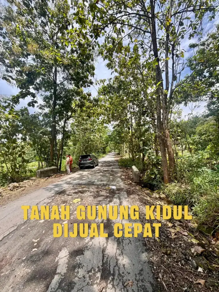 Tanah Strategis Di Gunung Kidul