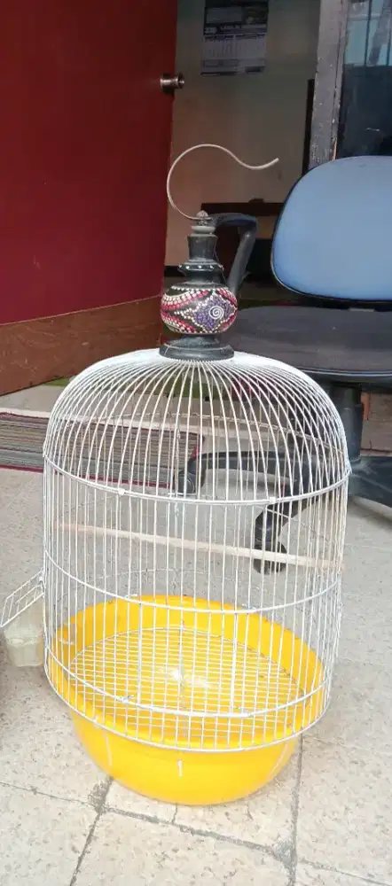 Sangkar burung Lovebird