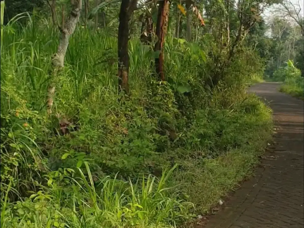 TANAH RAYA NGEMBAL-TUTUR NONGKOJAJAR